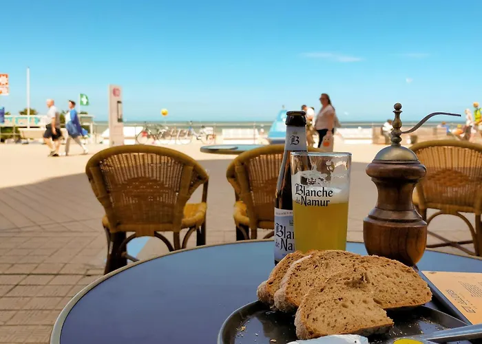 In With Wifi Appartement Ostende